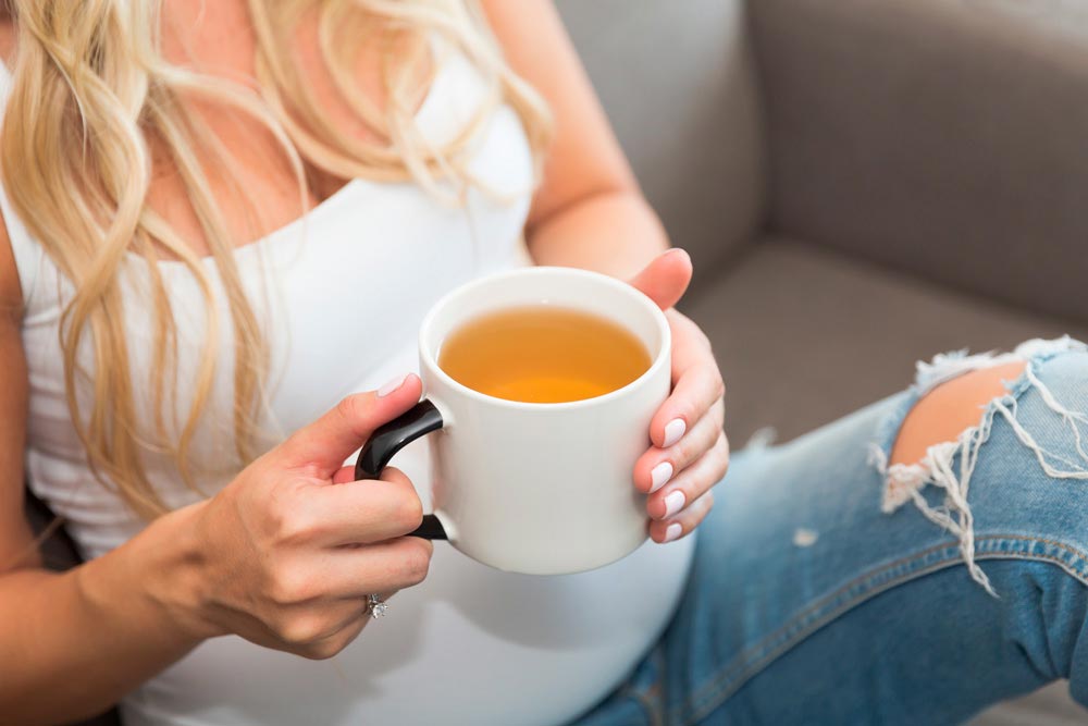 Rooibos