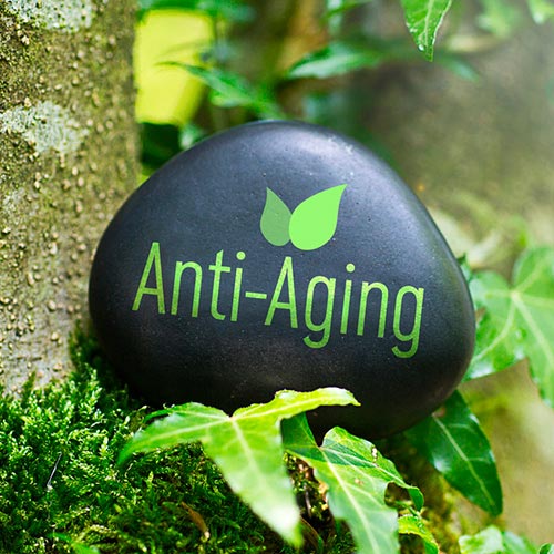 Enlentecer el proceso de envejecimiento