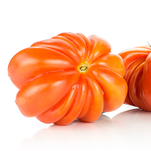 Tomate corazón de buey