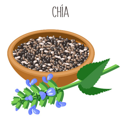 Ilustración semillas chía