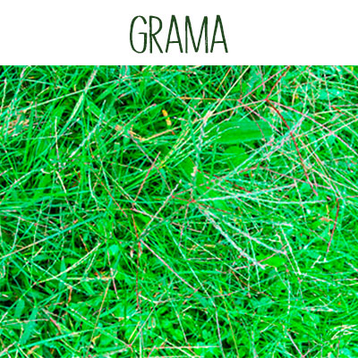 Grama