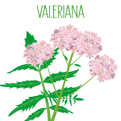 Vaeriana