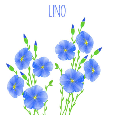 Lino