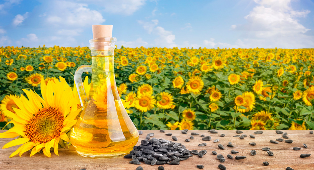 Aceite de girasol