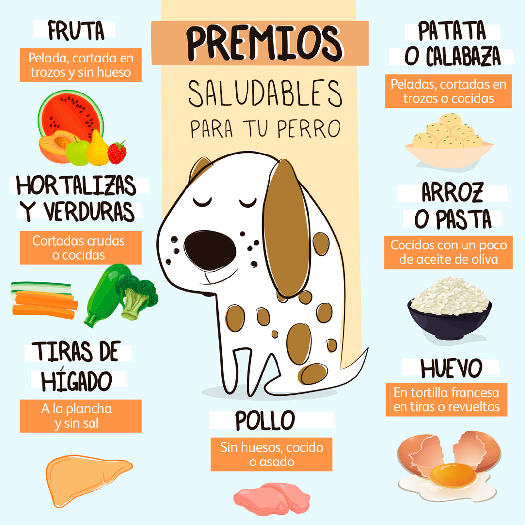Premios saludables para tu perro