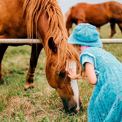Miedo a los caballos