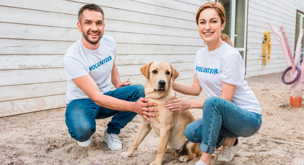 Chicos voluntarios en una protectora de animales