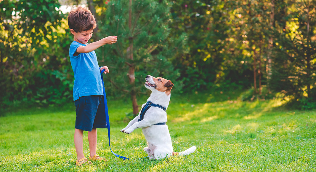 Niño jugando con su perro cachorro