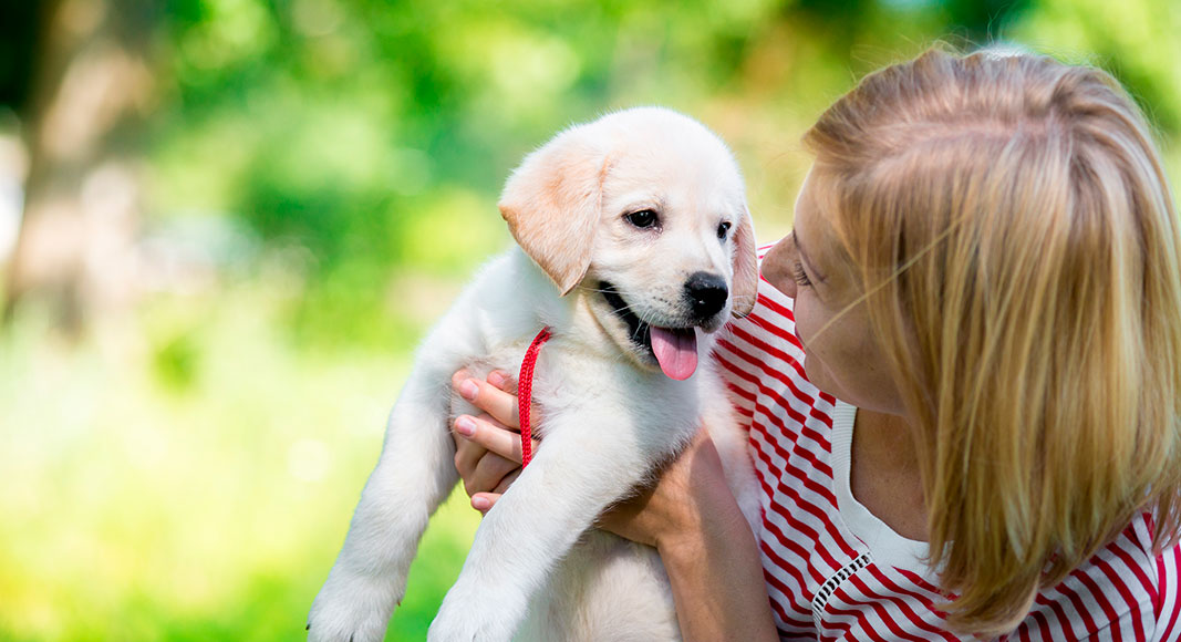 Mujer protegiendo a su cachorro