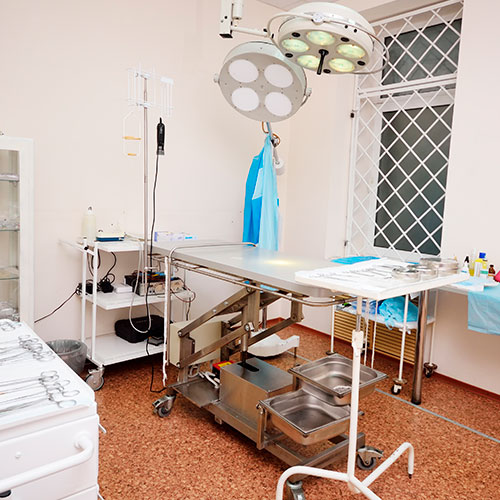 Equipo humano y material para elegir una clínica veterinaria