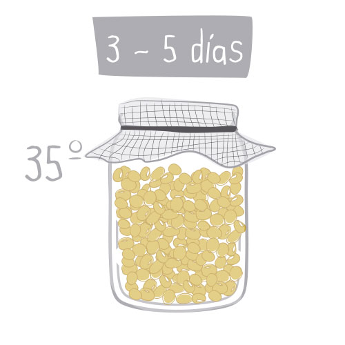 Cómo hacer germinados en casa