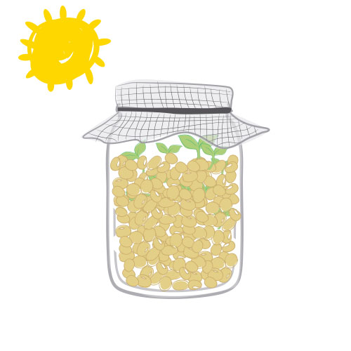 Cómo hacer germinados en casa