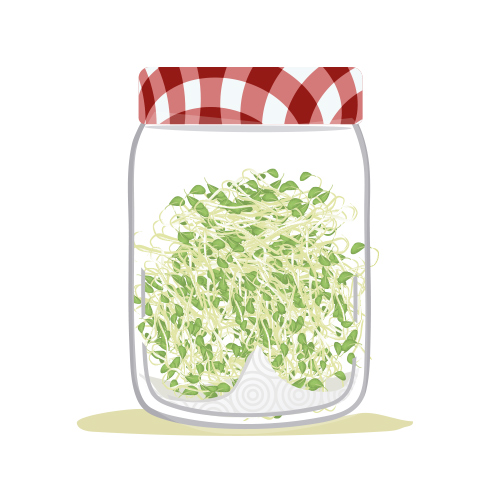 Germinados en casa