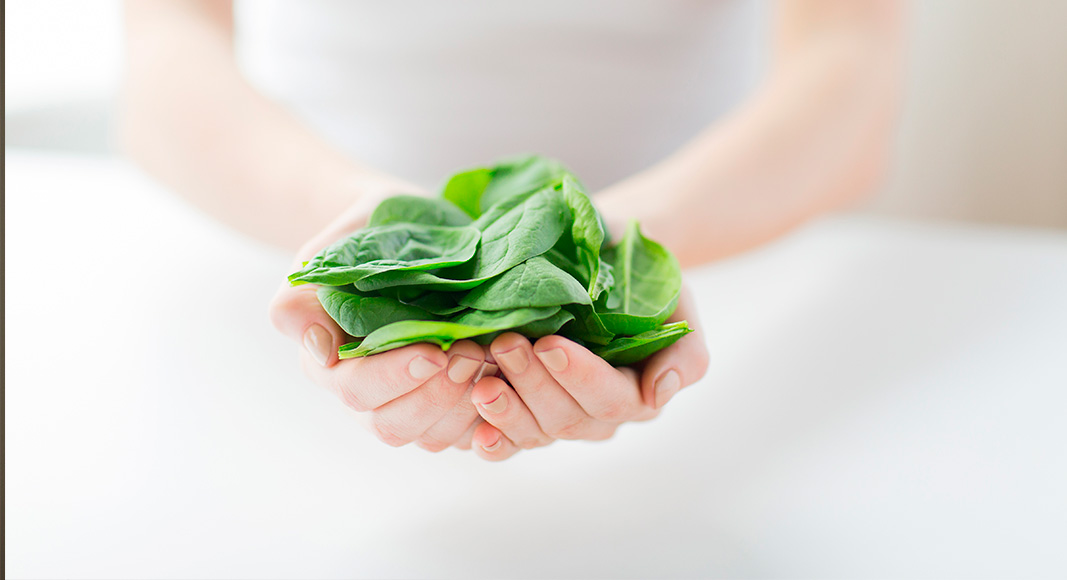 Alimentos ricos en hierro