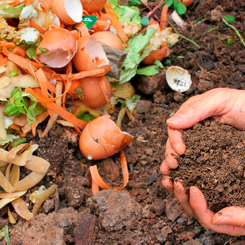 Generan su propio compost