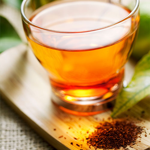 Rooibos