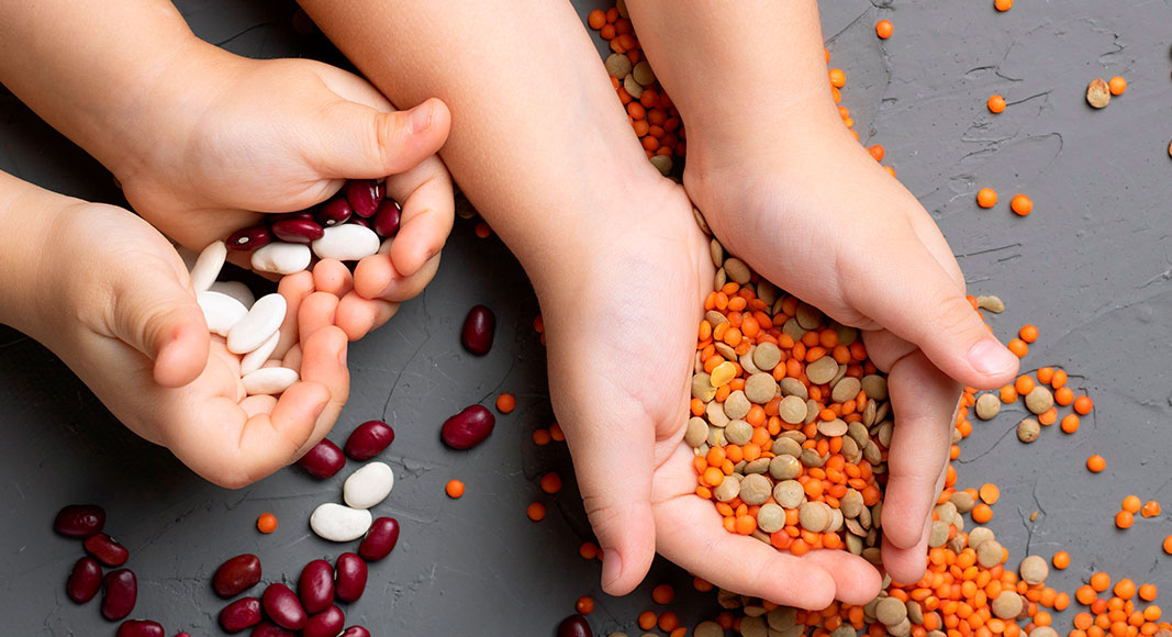 Tipos de alimentos importantes en la dieta infantil: legumbres