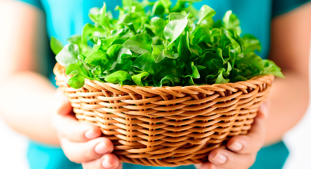 Beneficios del berro para la salud