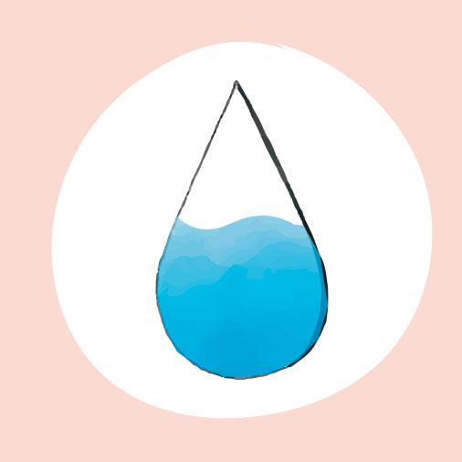 Cebolla: aporte de agua