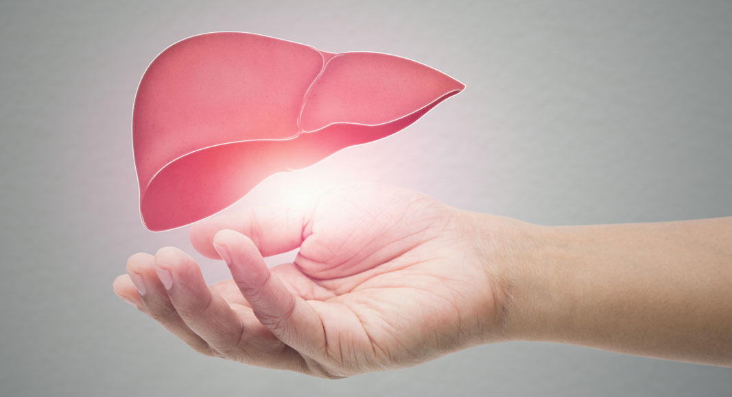 Concepto de hepatitis