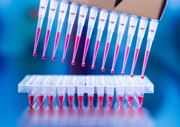 PCR, cuándo y cómo se hace para detectar COVID