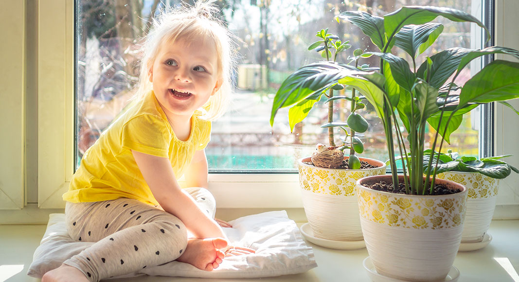Exposición a la luz natural