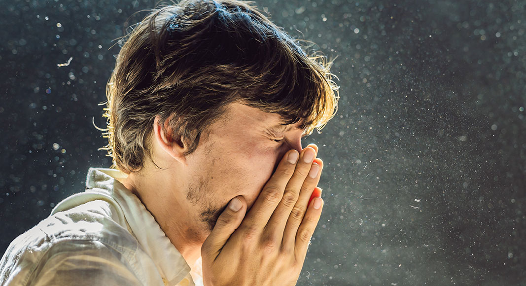 Tratamientos del asma: medidas no farmacológicas: ácaros del polvo