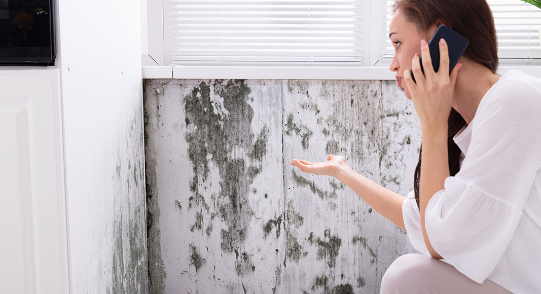 Tratamientos del asma: medidas no farmacológicas: hongos