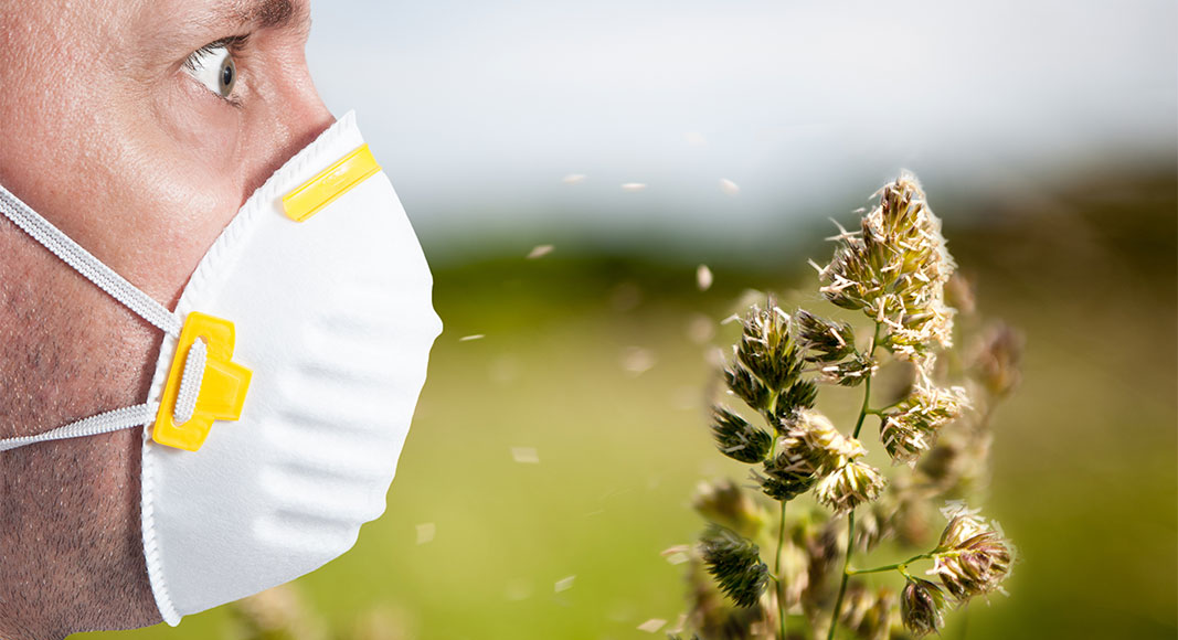 Tratamientos del asma: medidas no farmacológicas: polen