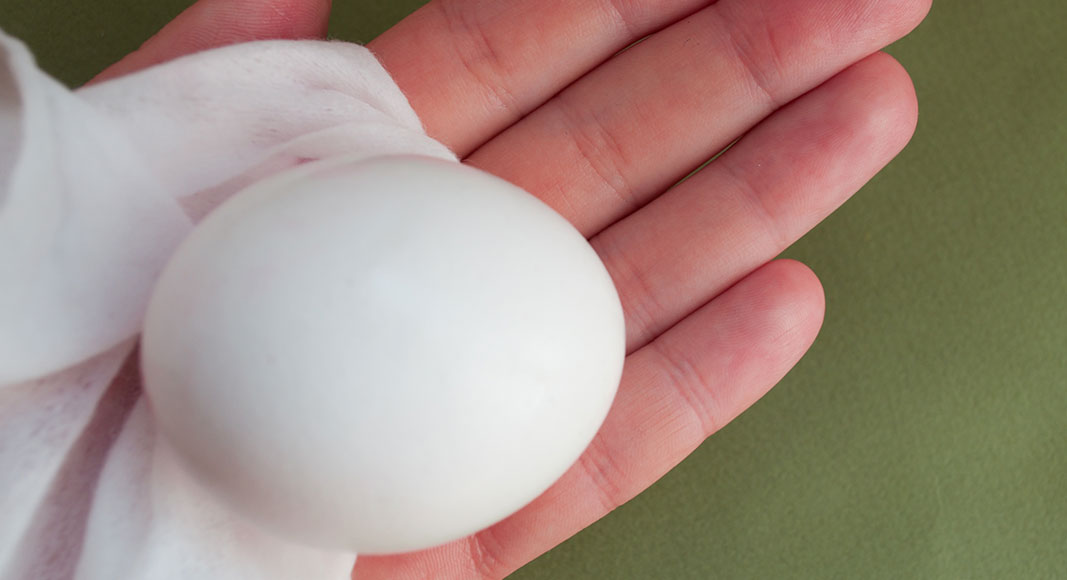 Causas de la diarrea: salmonela