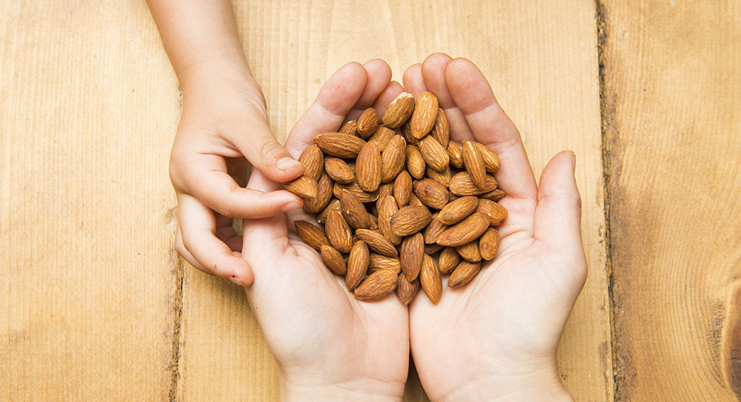 Recomendaciones para que los niños sigan una dieta vegetariana: frutos secos