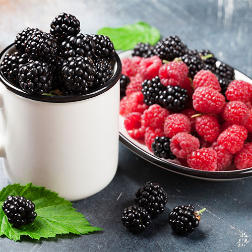 Alimentos principales de la dieta nórdica: frutos rojos