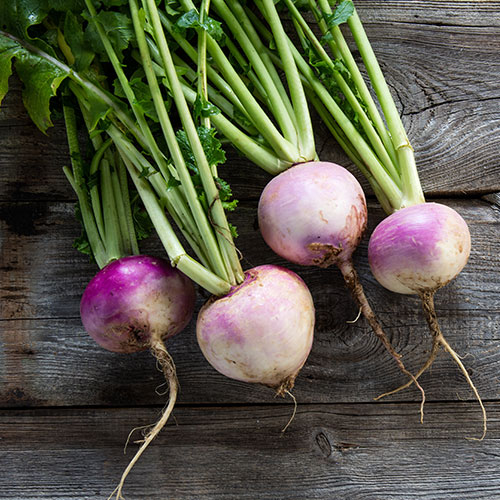 Alimentos principales de la dieta nórdica: nabo