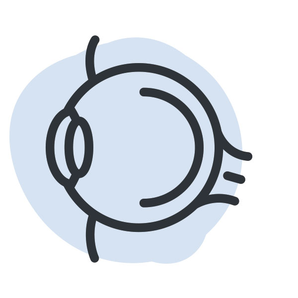 Causas de la pérdida de equilibrio a partir de los 60 años: vista