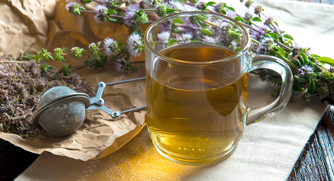 Infusión refrescante de anís y poleo blanco