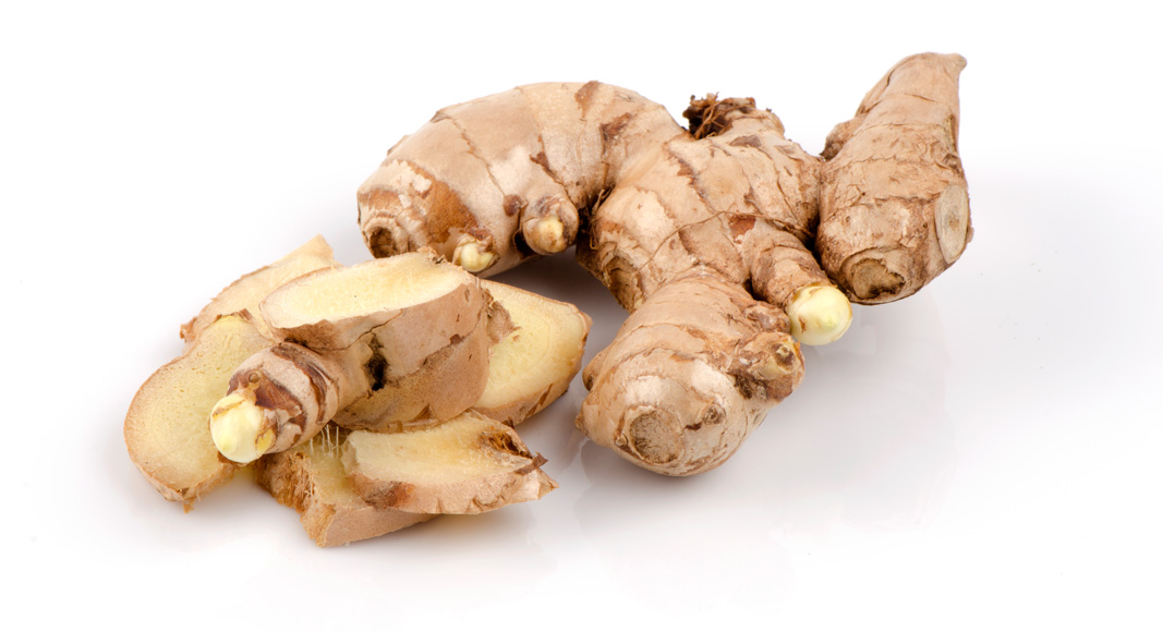 Jengibre (Zingiber officinale Roscoe)