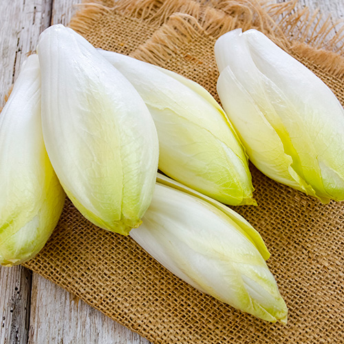 Alimentos recomendados en la fibromialgia : endibias