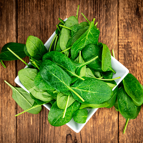 Alimentos no recomendados en la fibromialgia : espinacas