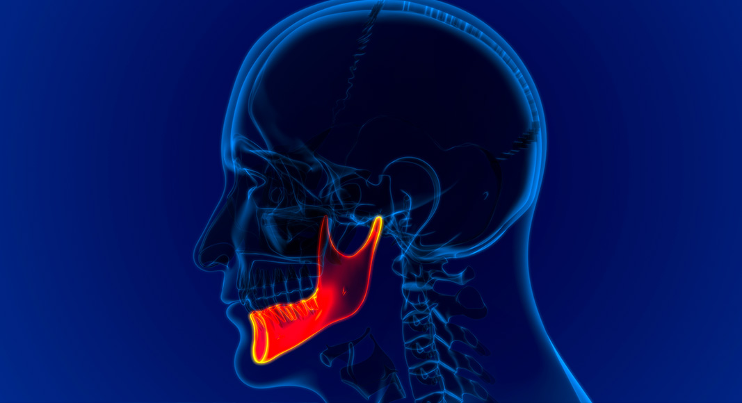 Menisco de mandíbula