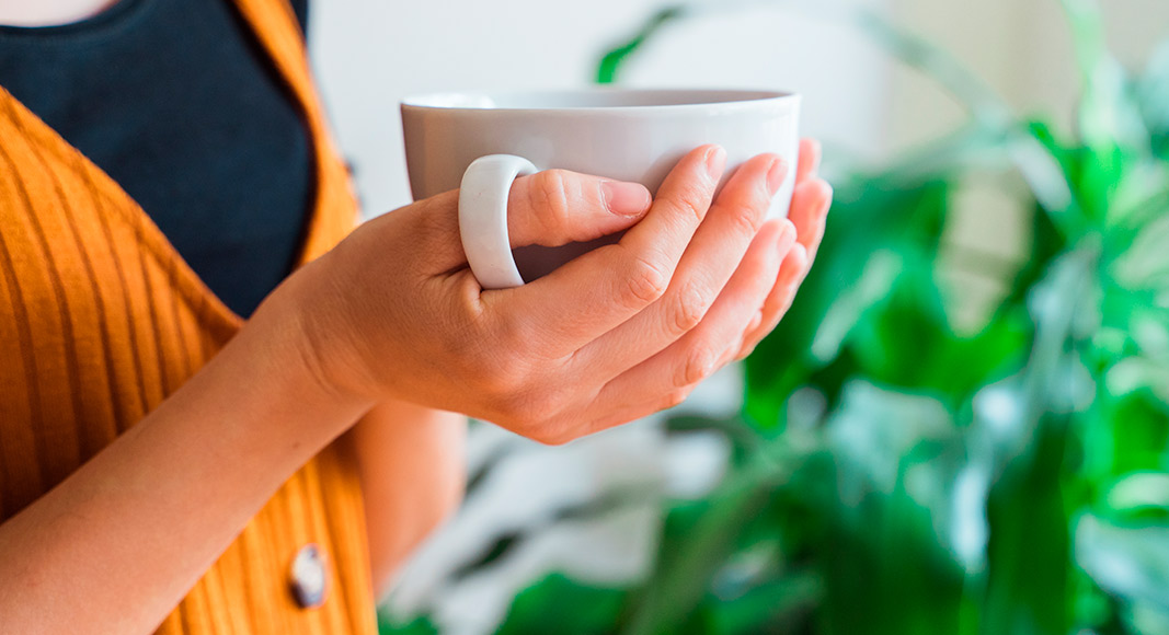 Usos y beneficios del psyllium: salud cardiovascular