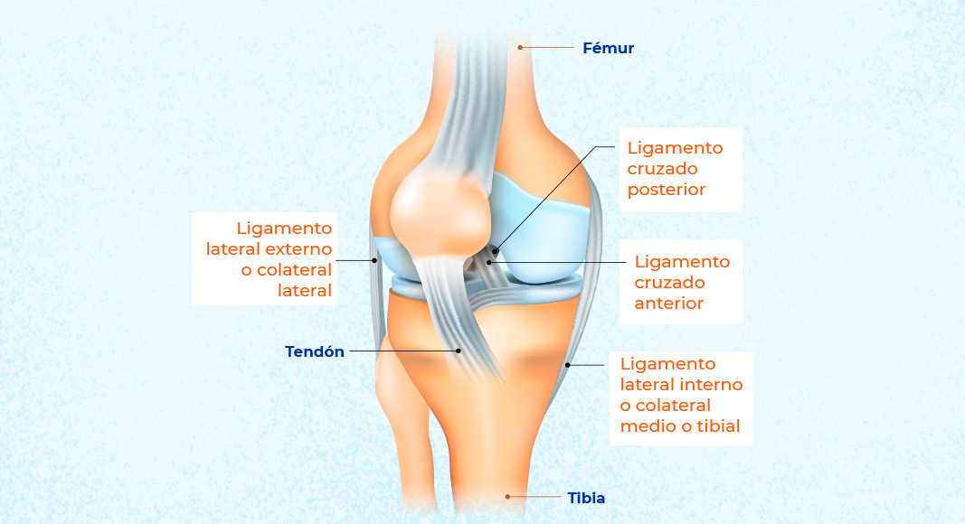 Tipos de esguinces de ligamento de rodilla