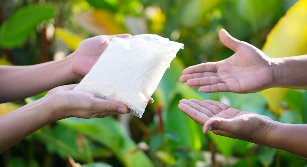 Donación en un testamento solidario