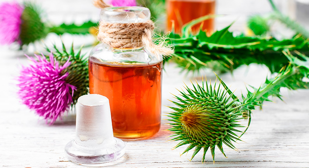 Beneficios de la bardana