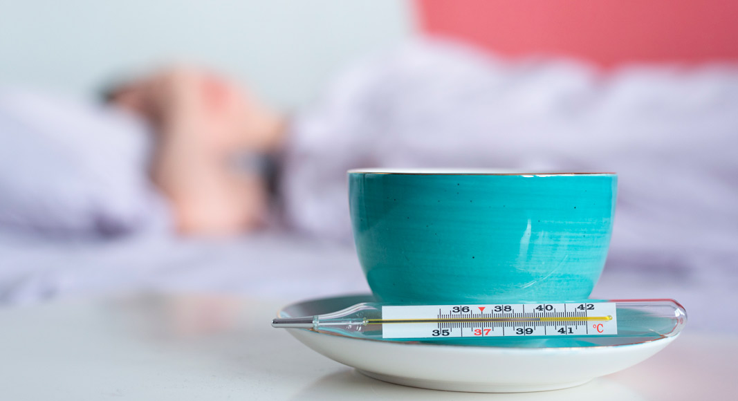 Beneficios de la malva para la salud