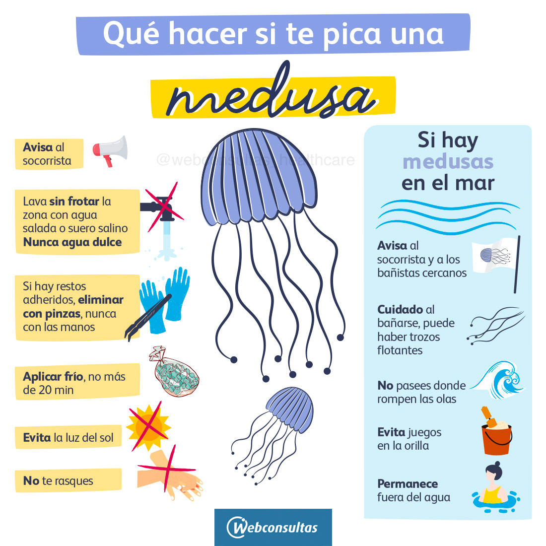 Infografía: qué hacer si te pica una medusa