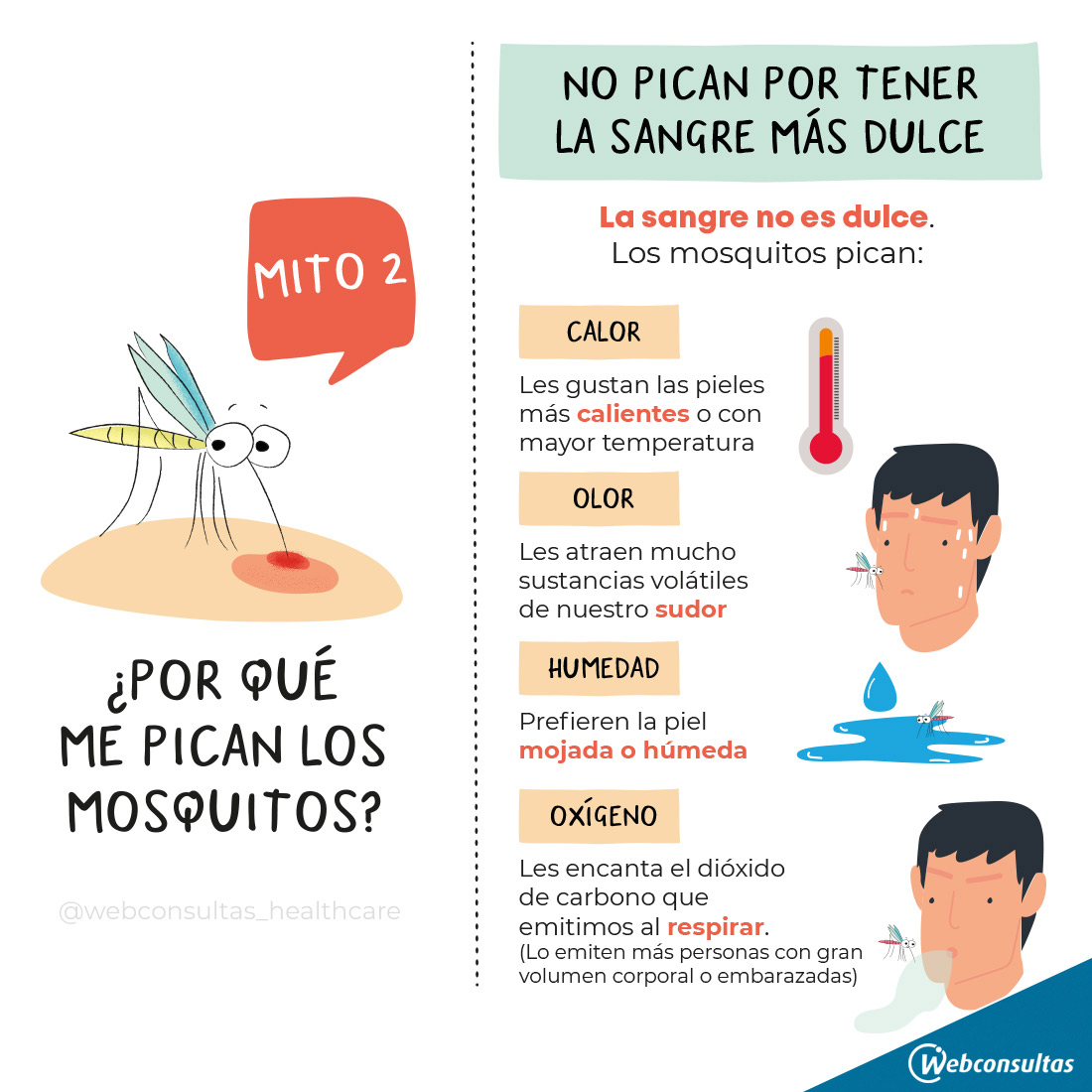 Infografía: Factores que influyen en que los mosquitos piquen más