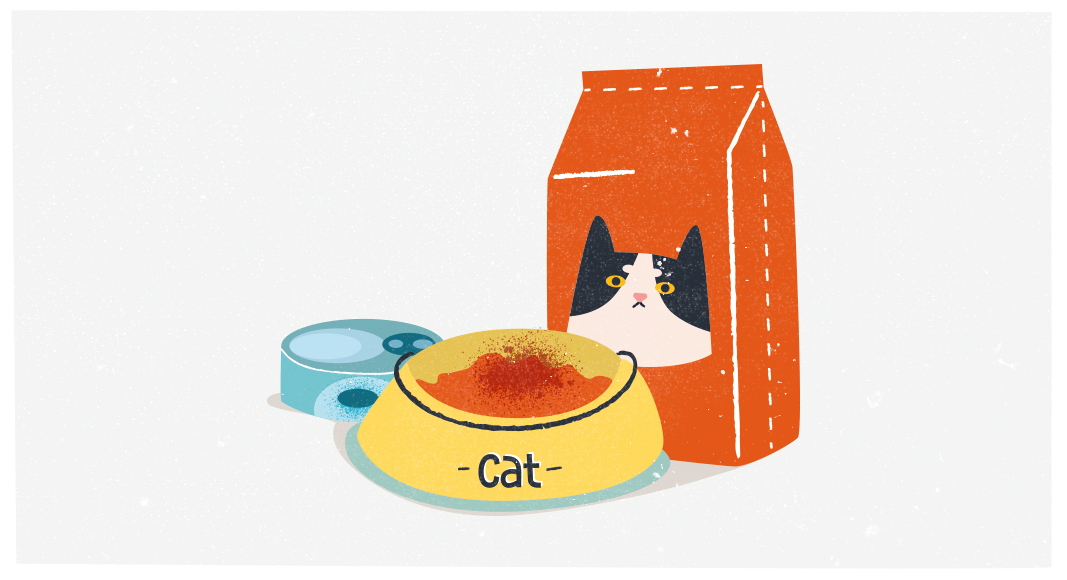 Cuida la dieta de tu gato