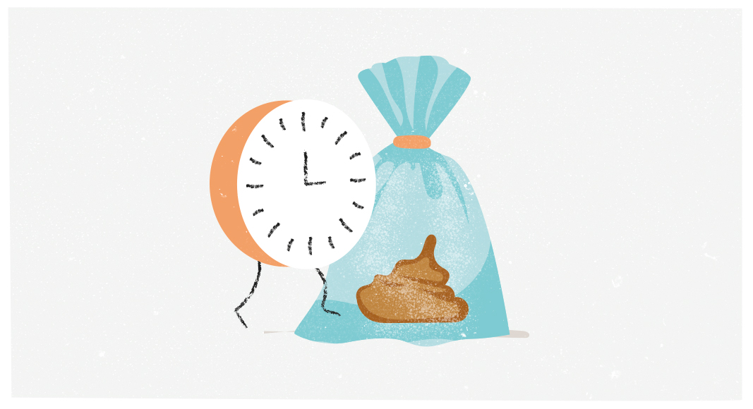 Recoge los desechos con frecuencia