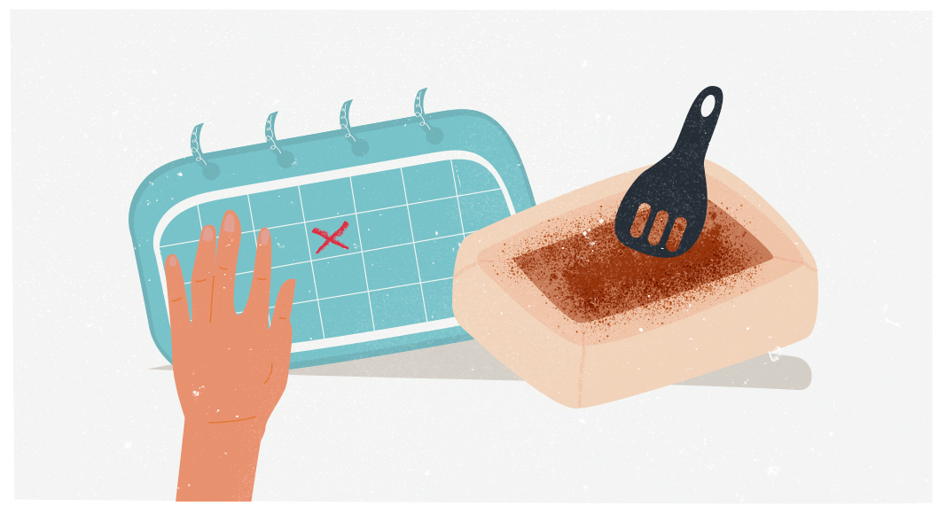 Cambia la arena de la caja de los gatos