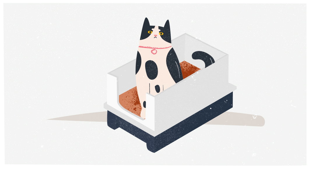 Caja de arena para gatos